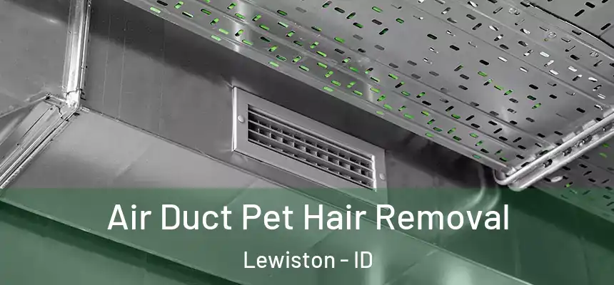  Air Duct Pet Hair Removal Lewiston - ID