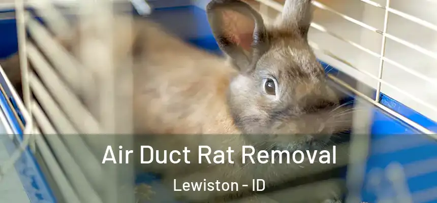  Air Duct Rat Removal Lewiston - ID