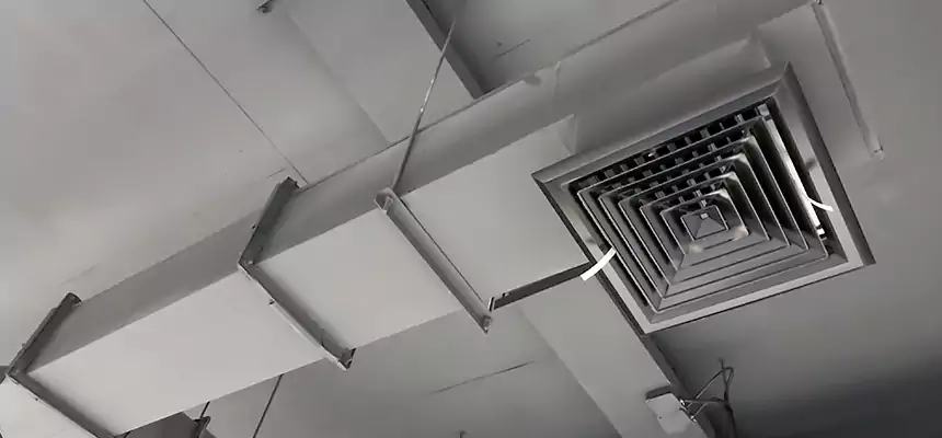 Our Rodent Droppings In Vents Services in Lewiston, ID