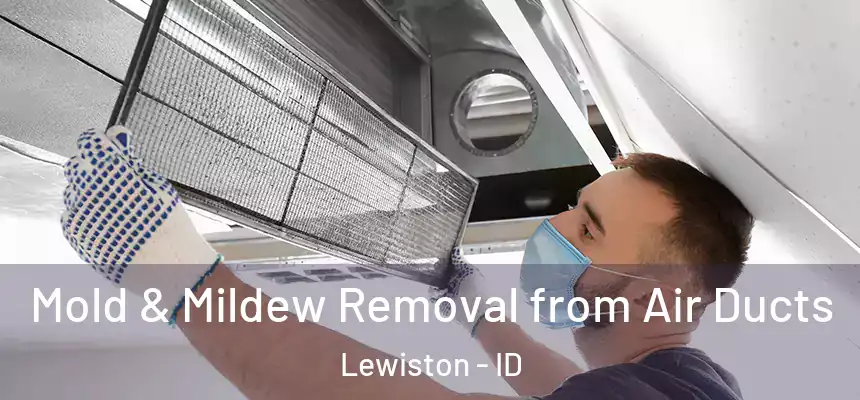  Mold & Mildew Removal from Air Ducts Lewiston - ID