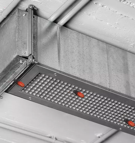 About Air Duct Cockroach Removal in Lewiston, ID