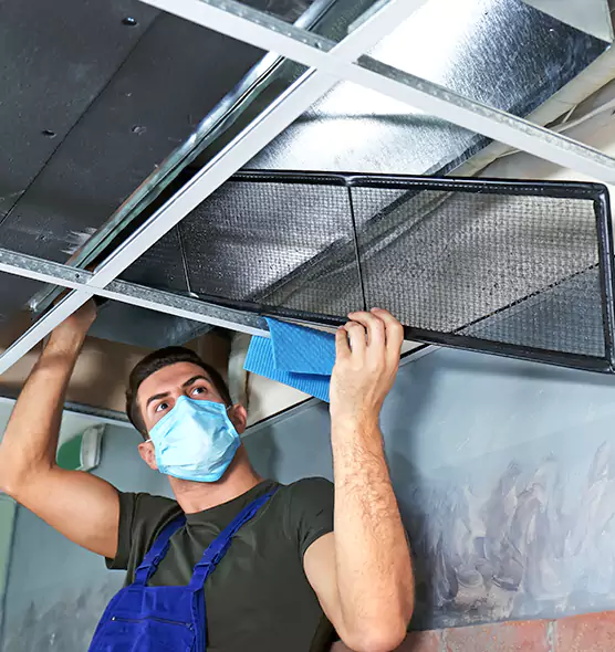 Professional Air Duct Pollen Cleaning in Lewiston, ID