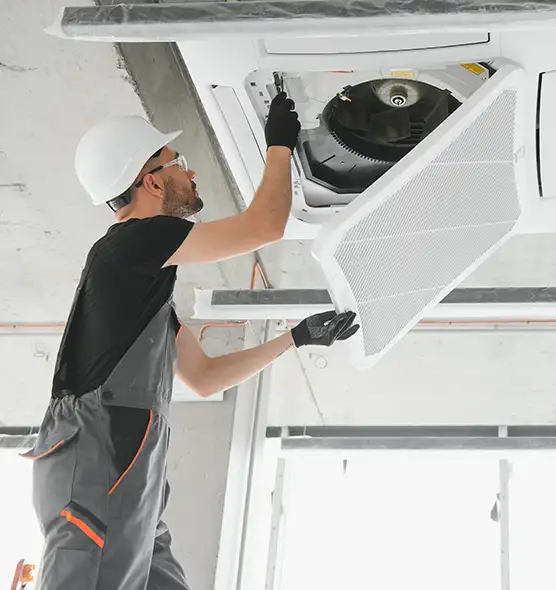 About Air Duct Rodent Removal in Lewiston, ID